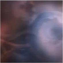 elixir of blueberries and wild figs and oaky overtones