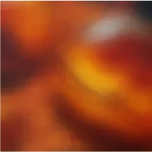 tasting note of Spanish oak ex-Oloroso sherry casks