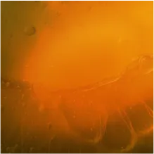 sweet notes of acacia honey