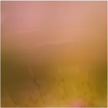 notes of meadow flowers, peaches, plums and summer grass.