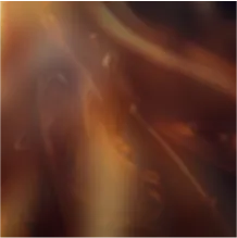 brown smoky notes of Golden maple syrup, dark chocolate, liquorice root and tannin oak.