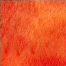 image of orange splash notes