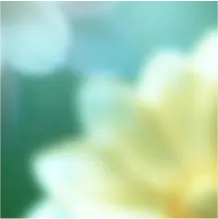 image of white floral notes