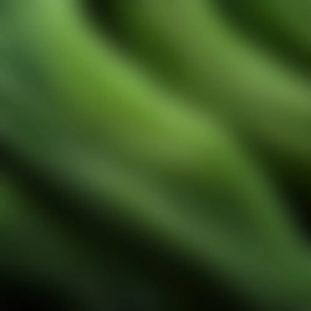 A ripple of light and dark greens