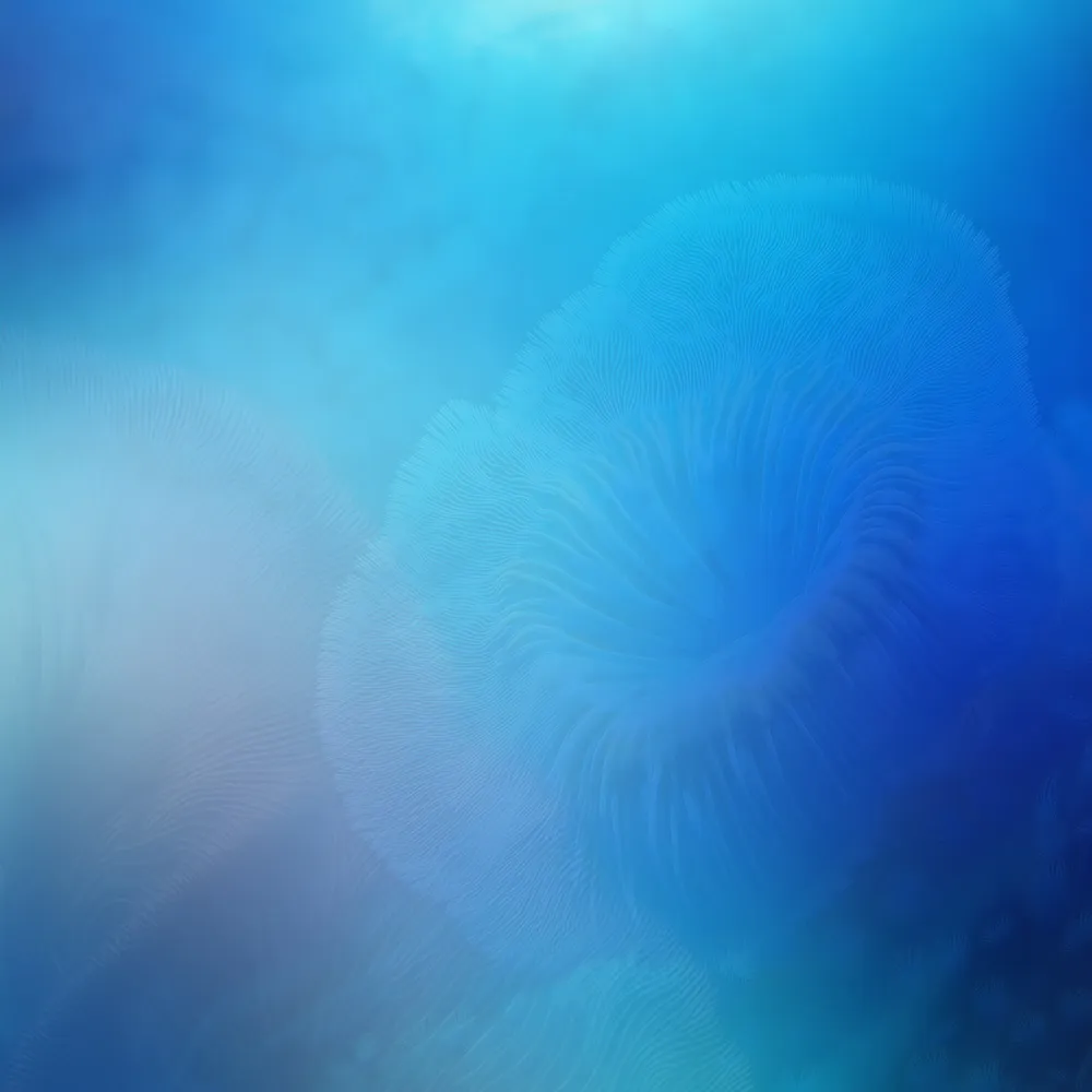 Deep blue and teal shades echoing the ocean