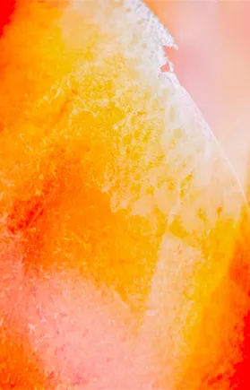 A peachy hue with a fruit texture background 