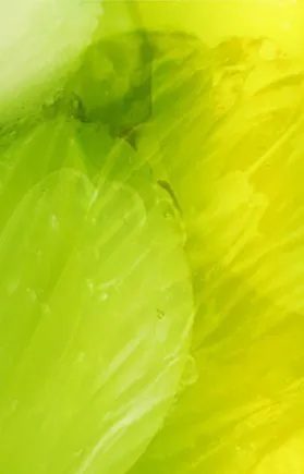 A bright burst of citrus green tones