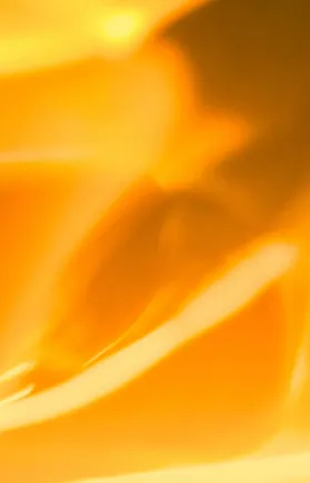 A glowing image showing sunlight and golden tones.