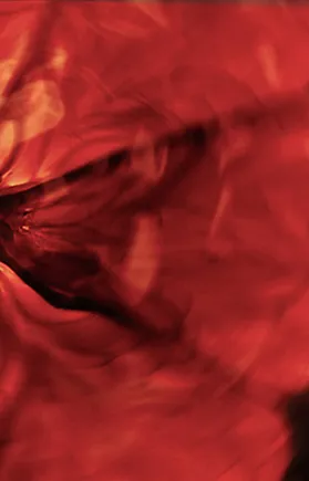 A blended image of warm summer fruits intertwined with light and dark red colours.