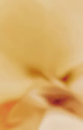 A close up of a vanilla pod’s white flower.