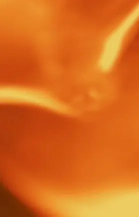 A blurred orange image with highlights of yellow lines throughout the shape. 