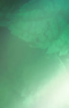 An eye catching rich green leaf with sun rays sneaking through on bottom right. 