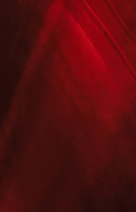 A deep mix of ruby red tones