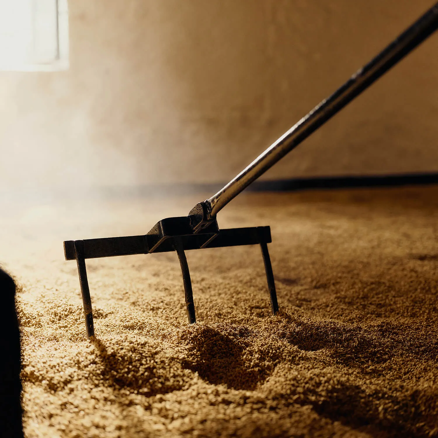 Floor malting process