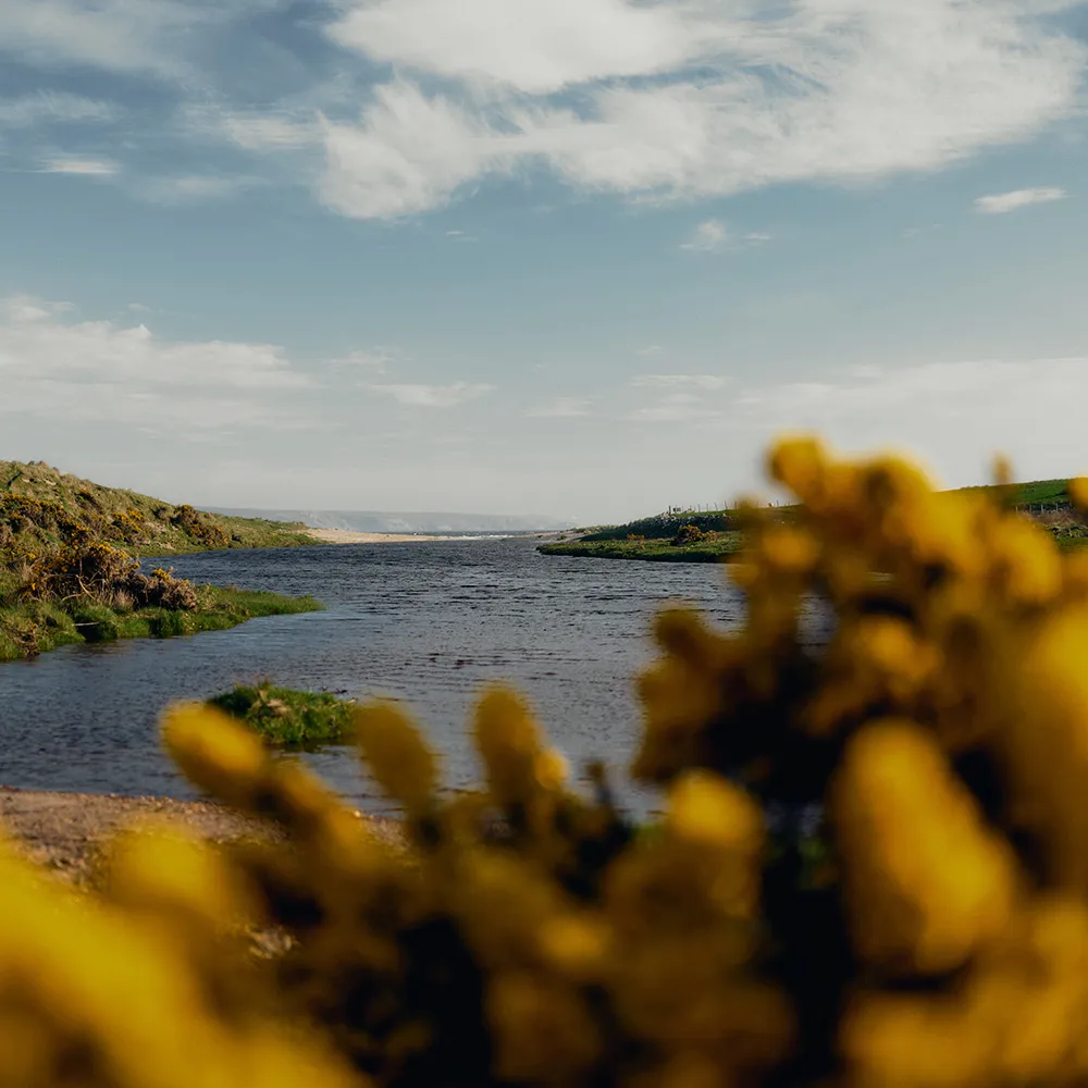 Loch with yellow foliage in foreground.