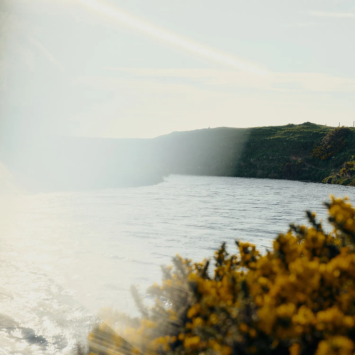 Loch and horizon with yellow foliage in foreground