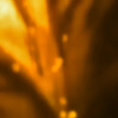 Abstract unfocused image