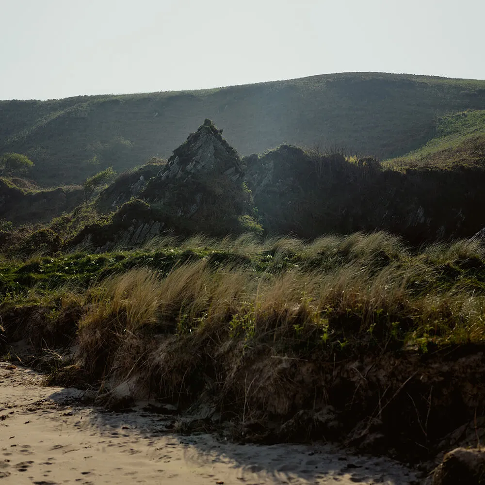 Peat territory on Islay