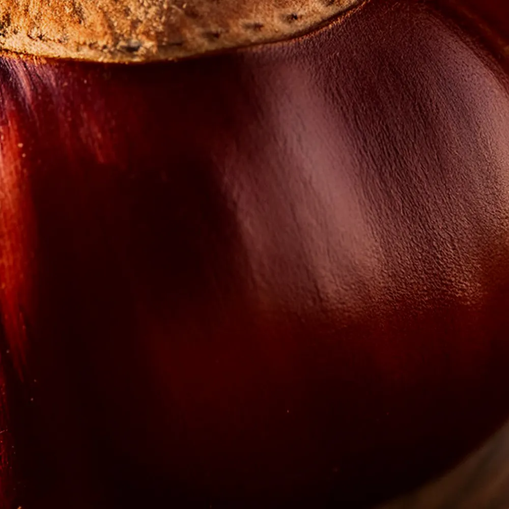 bowmore timeless1969 colour chestnut