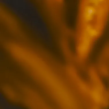 Blurred yellow abstract