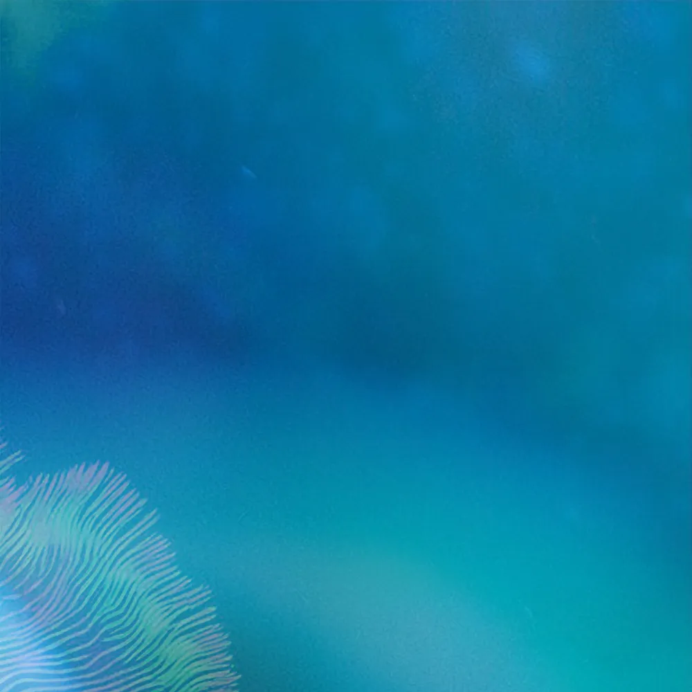 A vibrant combination of blue hues suggestive of the ocean