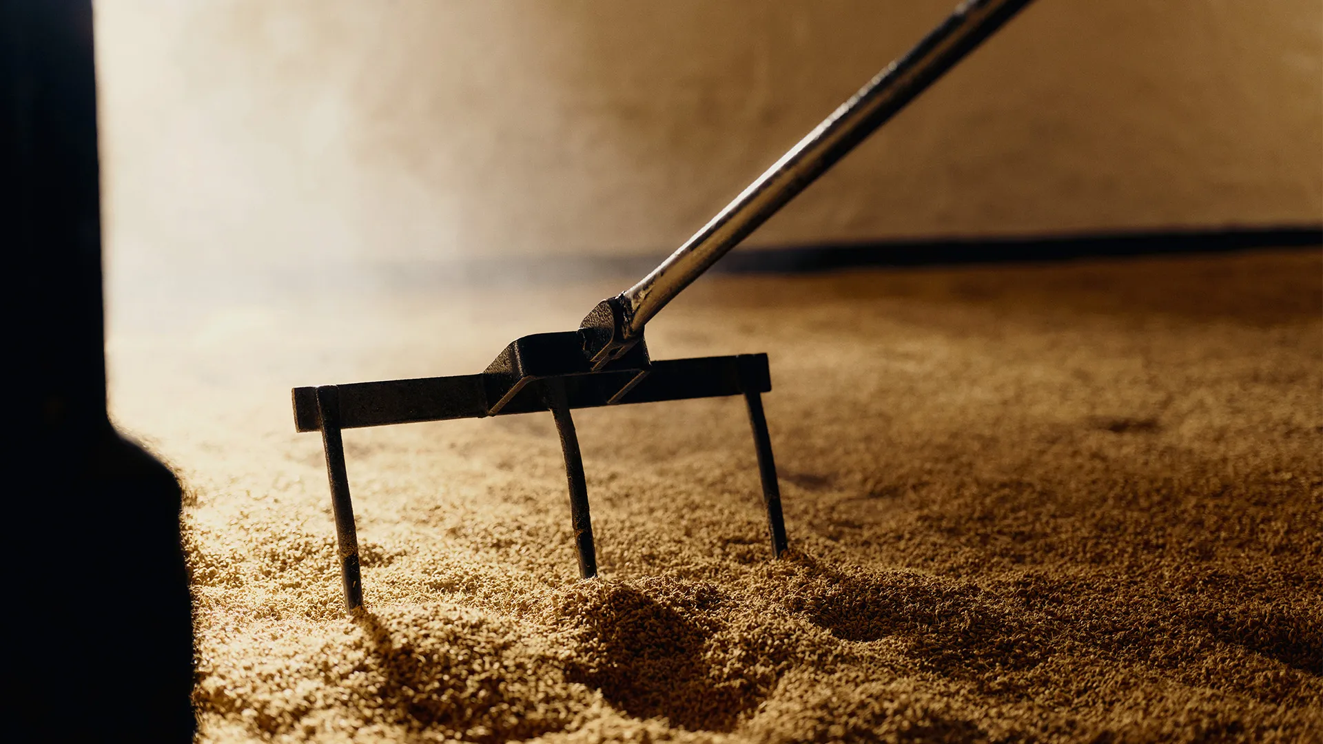 Bowmore_Signature_Tour