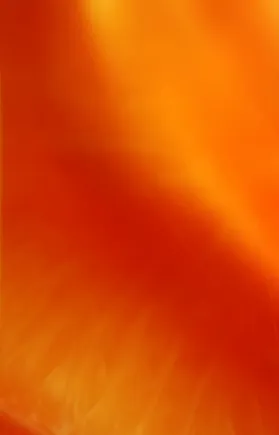 bright orange textured hues