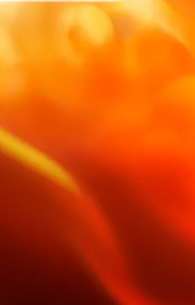 an abstract mix of orange hues